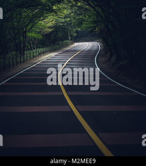 Gestreifte kurvenreichen Straße durch einen Wald Gasse (Jeju Island, South Korea) Stockfoto