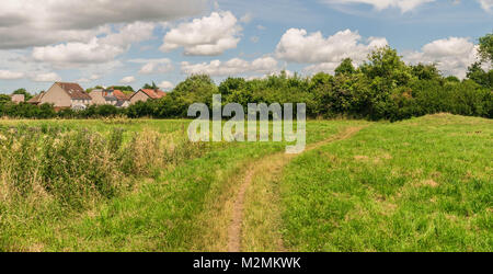 Britische Landschaft mit schönen Park Szene in öffentlichen Park mit grünem Gras Feld, grünen Bäumen und einer Partei bewölkt blauer Himmel Stockfoto