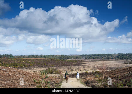 Reiter genießen Sie den weiten, offenen Flächen im New Forest National Park in Hampshire, Großbritannien Stockfoto