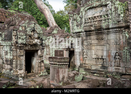 Preah Khan Tempel, Angkor, Kambodscha Stockfoto