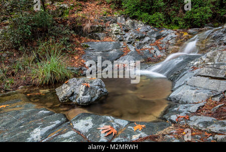 Schönen Wasserfall von Mesa Potamos im Herbst mit gelben Blätter auf dem Boden in Troodos-Gebirge auf Zypern. Stockfoto