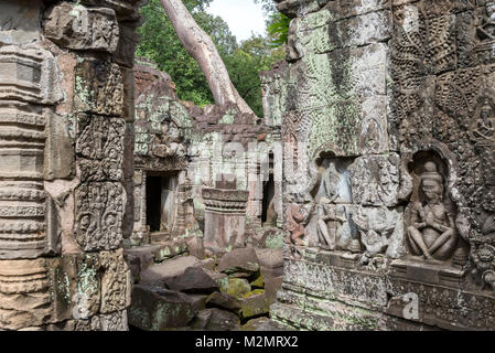 Preah Khan Tempel, Angkor, Kambodscha Stockfoto