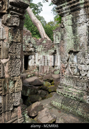 Preah Khan Tempel, Angkor, Kambodscha Stockfoto