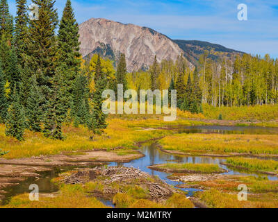 Marcellina Berg, Horse Ranch Park Loop Trail, Kebler, Crested Butte, Colorado, USA Stockfoto