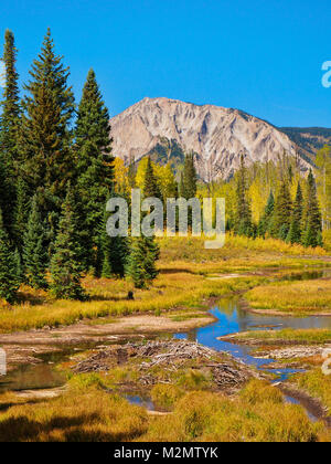 Marcellina Berg, Horse Ranch Park Loop Trail, Kebler, Crested Butte, Colorado, USA Stockfoto