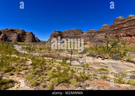 Bienenvölker in den Purnululu National Park in Welterbe entfernt sind auch bekannt als die Bungle Bungles im Nordosten Western Australia Stockfoto