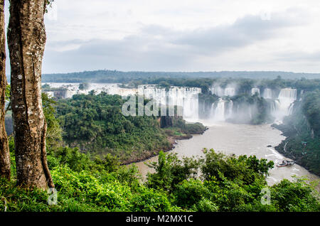 Foz do Iguaçu, Paraná, Brasilien - 30/06/2017: Blick auf die Iguazu Wasserfälle auf dem Weg der Trail mit dem Stamm eines Baumes die Komposition der Szene. Stockfoto