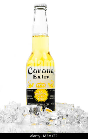 Triest, Italien, 23. Juni 2016: Corona Extra ist eine der meistverkauften Bieren weltweit ist ein helles Lagerbier von "Cerveceria Modelo in Mexiko produziert. Stockfoto