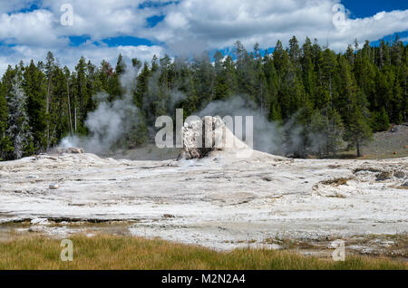 Die geyserite Kegel von Mastiff Geysir im Upper Geyser Basin. Yellowstone National Park, Wyoming, USA Stockfoto