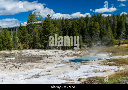 Grotte Fountain Geysir hat ein leuchtendes Blau mineral Farbe. Upper Geyser Basin. Yellowstone National Park, Wyoming, USA Stockfoto