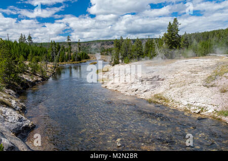 Blick auf den Firehole River fließt durch die Upper Geyser Basin. Bisons grasen in der Nähe von Hot Water Pool. Yellowstone Nationalpark, Wyoming Stockfoto