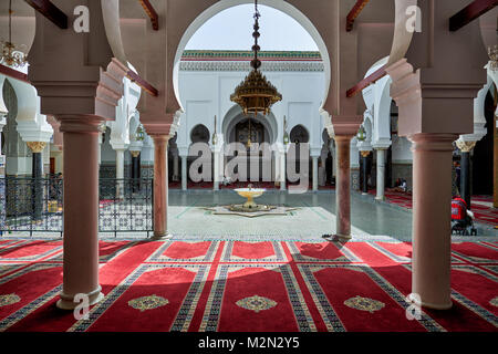 Innenhof der Zaouia de Moulay Idriss, Fes, Marokko, Afrika Stockfoto