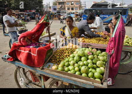 Mutter mit ihrem Baby verkaufen guaven, Pushkar, Rajasthan, Indien Stockfoto