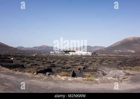 La Geria, Lanzarote - 8. November 2017. Ein traditionelles Bauernhaus von Ihren Weinberg mit steinigen Mauern umgeben Ihre Trauben aus dem Wind zu schützen. Stockfoto