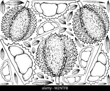 Tropische Früchte, Illustration Hintergrund von Hand gezeichnete Skizze von Durian oder durio Zibethinus Früchte. Eine der beliebtesten Früchte in der Welt. Stock Vektor