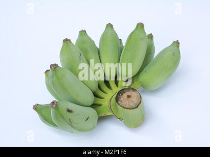 Kultiviert Banane auf weißem Hintergrund, grüne Banane, Roh Banane. Stockfoto