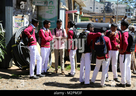 Nuwara Eliya Hill Country zentrale Provinz Sri Lanka Gruppe von Schulkindern Stockfoto