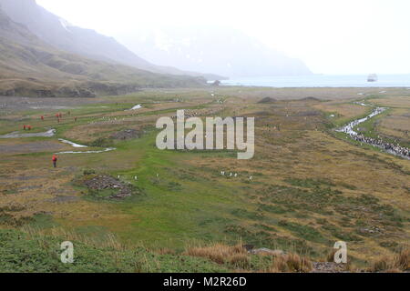 Scenic South Georgia Stockfoto