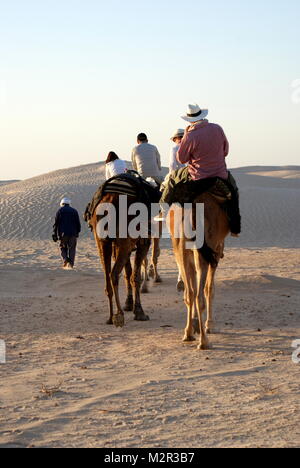 Treeking Kamel in der Wüste Sahara in der Nähe von Douz, Tunesien Stockfoto