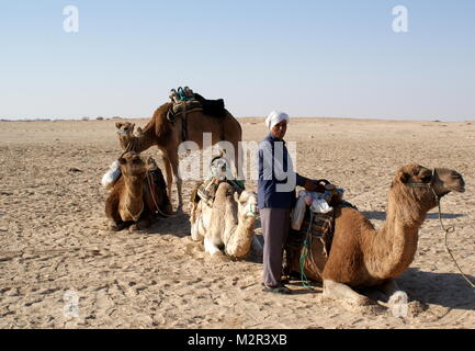 Kamele mit ihren Berber Guide in der Wüste Sand in der Nähe von Douz, Tunesien ausruhen Stockfoto