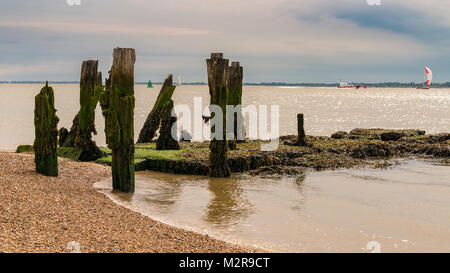 Holz- Stangen auf einen Kiesstrand, am Hafen von Felixstowe, Suffolk, England, UK gesehen Stockfoto