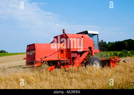 Mähdrescher - Polen Stockfoto