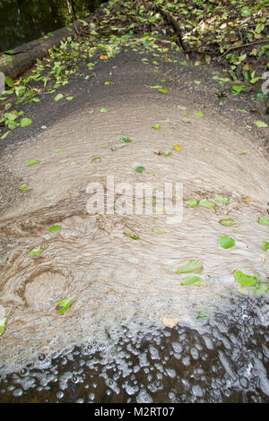 Schaum, Schaumbildung in einem Bach, Wasseroberfläche, Schaum