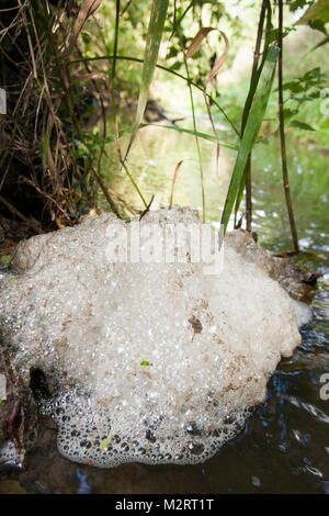 Schaum, Schaumbildung in einem Bach, Wasseroberfläche, Schaum