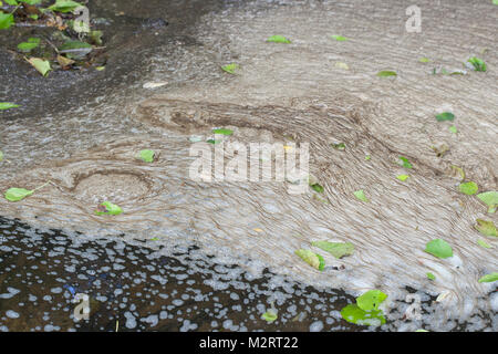 Schaum, Schaumbildung in einem Bach, Wasseroberfläche, Schaum