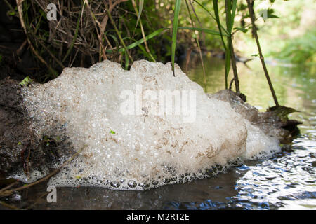 Schaum, Schaumbildung in einem Bach, Wasseroberfläche, Schaum