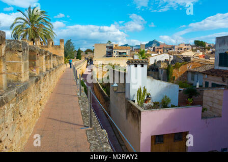 Gehweg auf der mittelalterlichen Stadtmauer, Alcudia, Mallorca, Balearen, Spanien Stockfoto