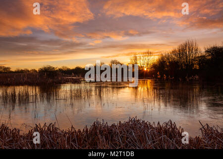 Sonnenaufgang über einem Lincolnshire Wildlife Trust Naturschutzgebiet, Barton-upon-Humber, North Lincolnshire, Großbritannien. 8. Februar 2018. Stockfoto