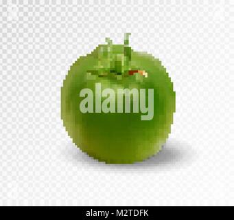 Grüne realistische isoliert Tomate. 3d-Tomate Stock Vektor