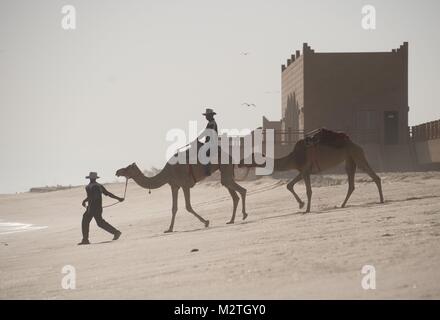 Zwei arabische Kamele am Strand von Salalah, Oman, am 10.10.2017. | Verwendung weltweit Stockfoto