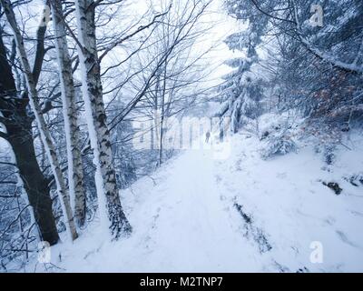 Abnehmende schneebedeckten Weg durch einen Wald. Winter dunklen und nebligen Wald am Hang, schreckliche schneit Stockfoto