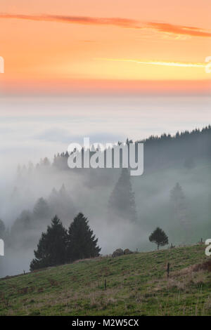Blick vom Schauinsland über die Rheinebene bei Nebel, Schwarzwald, Baden-Württemberg, Deutschland Stockfoto