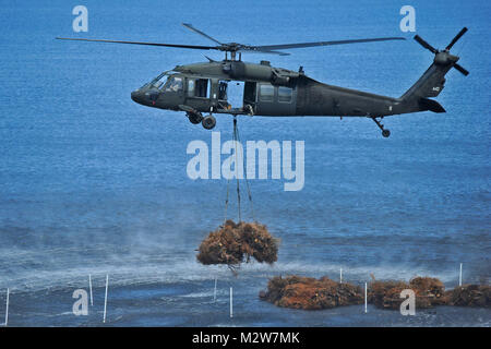 NEW ORLEANS - Louisiana National Guard UH-60 Black Hawk vom 1.BATAILLON, im Aviation Regiment, bereitet die Bundles der Weihnachtsbäume zu fallen in eine Lücke in der Bayou Sauvage National Wildlife Refuge helfen der Feuchtgebiete wieder zu schließen, 13. März 2012, in New Orleans. Der lang hat mit der US-Fisch und Wildlife Service und der Stadt New Orleans seit 1989 auf dem Weihnachtsbaum Recycling Programm. (U.S. Air Force Foto von Master Sgt. Toby M. Valadie, Louisiana National Guard State Public Affairs Office/Freigegeben) auf Ziel 120313-F-VU 198-546 durch Louisiana National Guard Stockfoto