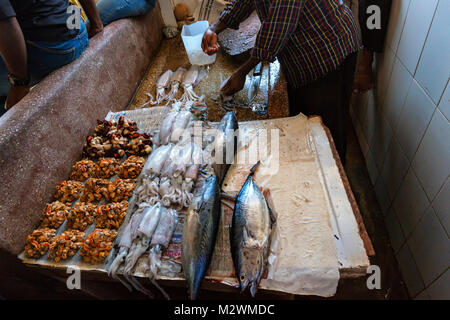 STONE Town, Sansibar - Januar 9, 2015: Verkaufen Sie Meeresfrüchte im Fischmarkt Stockfoto
