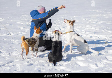 Frau füttern Hunde beim Training einige einfache Befehle spielen im Freien im Winter Stockfoto