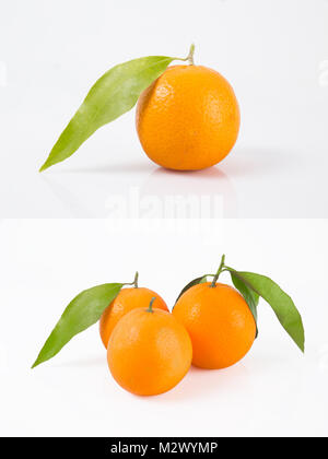 Citrus Sammlung isoliert. Ganze tangerinen oder Mandarin orange Früchte und geschält Segmente auf weißem Hintergrund mit Freistellungspfad isoliert. Stockfoto