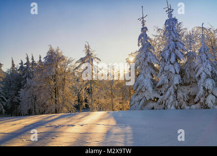 Einen malerischen Sonnenuntergang im Wald - Winter Berge Landschaft. Uralte Bäume, die durch Sonnenlicht beleuchtet. Stockfoto