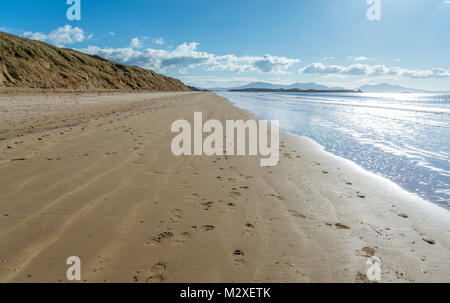 Erodiert Sanddünen auf rhosneigr Strand auf Anglesey. Stockfoto