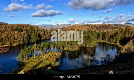 Auf Tarn Hows vom Sir James Scott Memorial mit Schnee Fells in die zurückgelegte Strecke Stockfoto