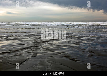 WA 13280-00 ... WASHINGTON - kalaloch Beach an der Pazifikküste in Olympic National Park. Stockfoto