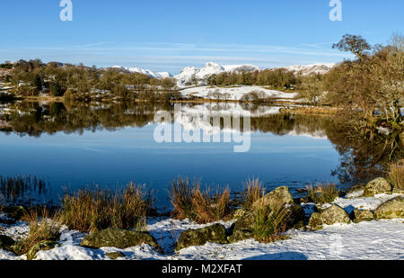 Loughrigg Tarn im Winter mit den Langdale Pikes hinter an einem kalten und schneereichen Februar morgen Stockfoto