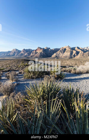 Am frühen Morgen Blick von Scenic Loop Road blicken im Red Rock Canyon National Conservation Area in der Nähe von Las Vegas in Nevada. Stockfoto