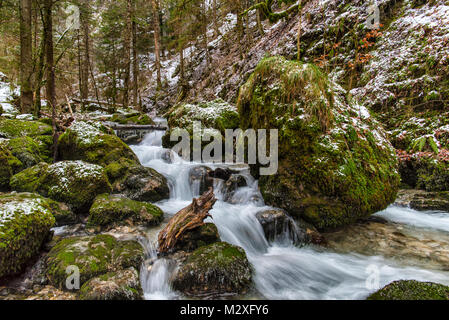 Eine malerische Schlucht, in der die wilden Bruyant Gebirgsbach fließt, im Winter gezeigt. Stockfoto