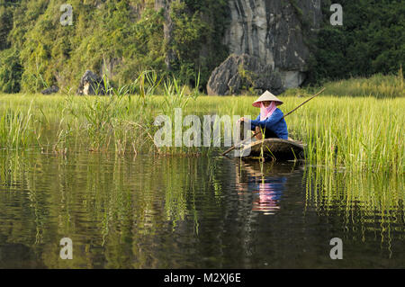 Frau auf einem kleinen Ruderboot im Schilf des Van Langen Naturschutzgebiet, Ninh Binh Provinz, North Vietnam Stockfoto