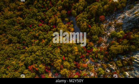 Antenne drone Ansicht von erstaunlichen Farben des Herbstes im Herbst Wald. Der Val Rosandra (Glinscica) Triest Italien Stockfoto