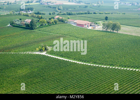 Mit Blick auf die Weinberge, dass Citari der Torre di San Martino, San Martino della Battaglia, Provinz Brescia, Italien Stockfoto